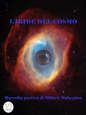 Book cover of L'IRIDE DEL COSMO - Raccolta poetica