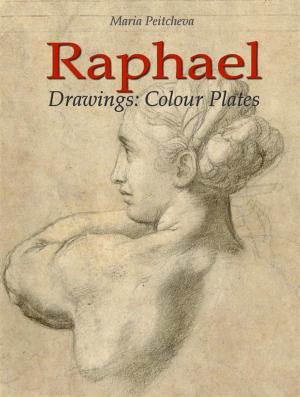 Book cover of Raphael: Drawings Colour Plates