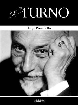 bigCover of the book Il Turno by 