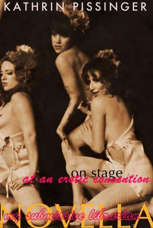 Cover of the book On Stage At An Erotic Convention by Vim Brioni