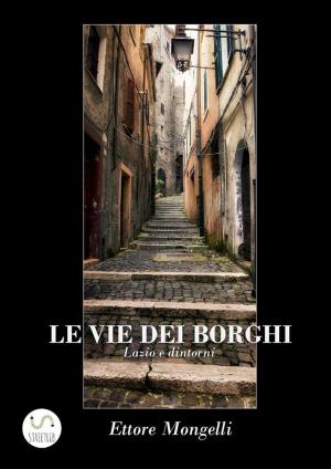 Book cover of Le vie dei borghi - Lazio e dintorni