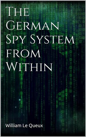 Cover of The German Spy System from Within
