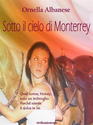 bigCover of the book Sotto il cielo di Monterrey (Vivi le mie storie) by 