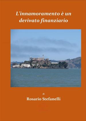 Cover of the book L'innamoramento è un derivato finanziario by John McClenny