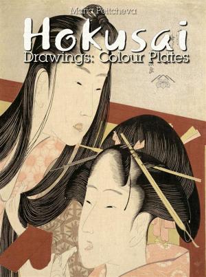 Cover of Hokusai Drawings: Colour Plates
