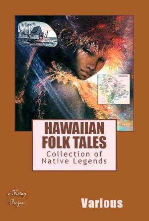 Cover of the book Hawaiian Folk Tales by Edward William Lane