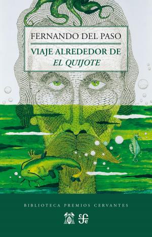 Book cover of Viaje alrededor de El Quijote