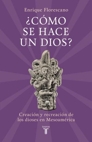 Cover of the book ¿Cómo se hace un dios? by Ignacio Solares