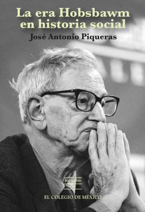 Cover of the book La era hobsbawm en historia social by Rebeca Barriga Villanueva, Pedro Martín Butragueño