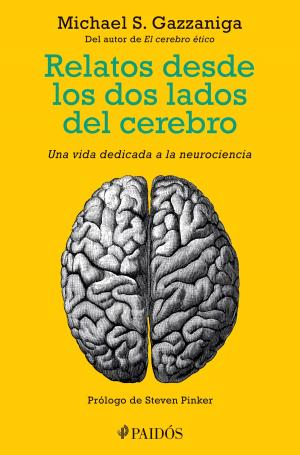 Book cover of Relatos desde los dos lados del cerebro