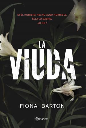Cover of the book La viuda by Vicente Garrido Genovés