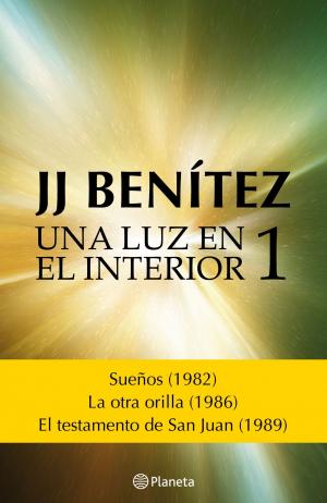 Cover of the book Una luz en el interior. Volumen 1 by Federico Moccia