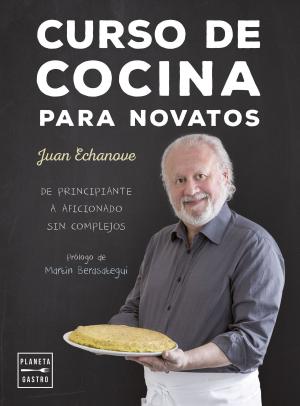 Cover of the book Curso de cocina para novatos by Alicia Estrada Alonso