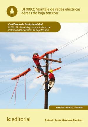 Cover of the book Montaje de redes eléctricas aéreas de baja tensión by Álvaro Torres Rojas, Rocío San Cristóbal Alcaide