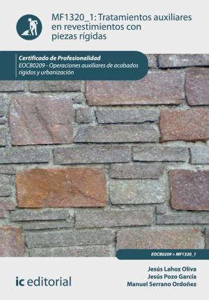 Cover of the book Tratamientos auxiliares en revestimientos con piezas rígidas by Rosario Rodríguez Baliña