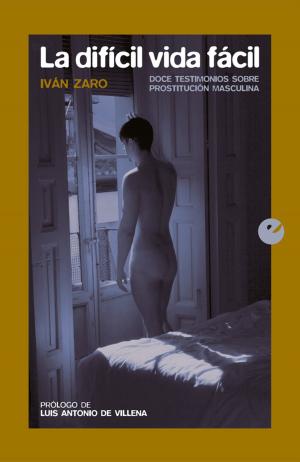 Cover of the book La difícil vida fácil by Justo Serna