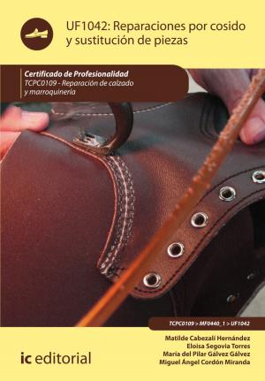 Cover of Reparaciones por cosido y sustitución de piezas