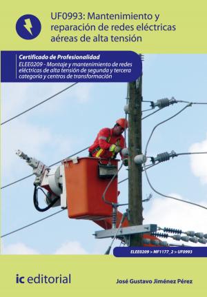 Cover of the book Mantenimiento de redes eléctricas aéreas de alta tensión by Juan Manuel Molina Mengíbar