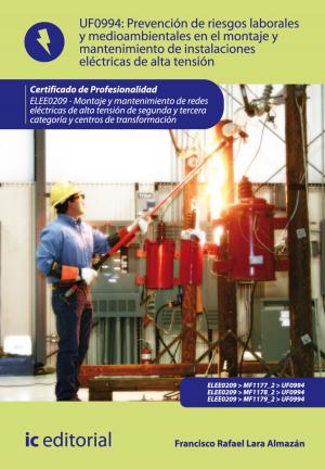 Cover of the book Prevención de riesgos laborales y medioambientales en el montaje y mantenimiento de instalaciones eléctricas de alta tensión by Mª Luisa Carvajal Estepa