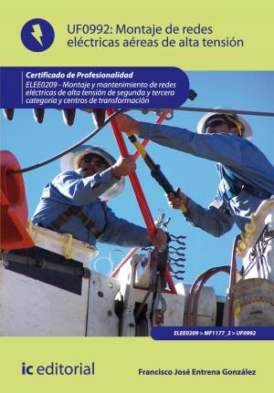 Cover of the book Montaje de redes eléctricas aéreas de alta tensión by Macarena Osorio Otero