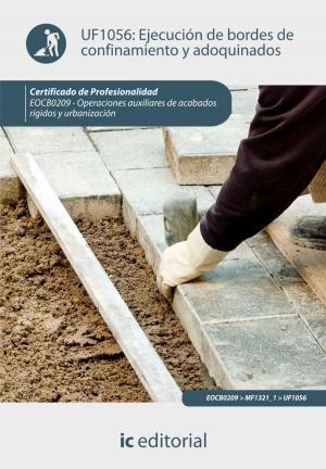 Cover of the book Ejecución de bordes de confinamiento y adoquinados by Francisco  Martín Antúnez Soria, Ricardo  Quintanilla Piña