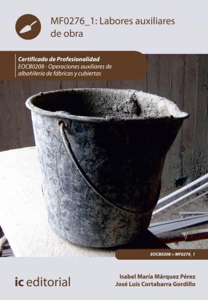 Cover of the book Labores auxiliares de obra by Marta González Sánchez
