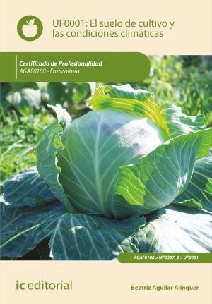 Cover of the book El suelo de cultivo y las condiciones climáticas by Amador Ordoñez Puime, Jessica Ingrid Piñeiro Di Blasi, Tecnología e Investigación S.L. Asesoramiento