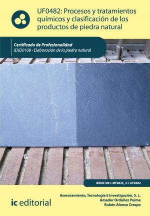 Cover of the book Procesos y tratamientos químicos y clasificación de los productos de piedra natural by Juan Manuel Molina Mengíbar