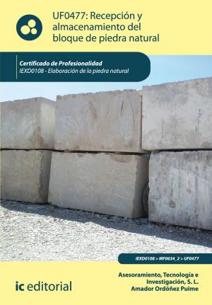 Cover of the book Recepción y almacenamiento del bloque de piedra natural by Inmaculada Pavía Sánchez