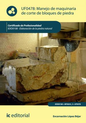 Cover of the book Manejo de maquinaria de corte de bloques de piedra by Amador Ordoñez Puime, Jessica Ingrid Piñeiro Di Blasi, Tecnología e Investigación S.L. Asesoramiento