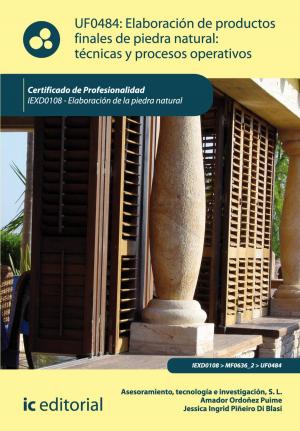 Cover of the book Elaboración de productos finales de piedra natural: técnicas y procesos operativos by Francisco Javier Caparrós Ruiz