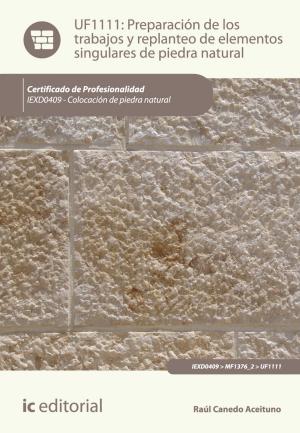 Cover of the book Preparación de los trabajos y replanteo de elementos singulares de piedra natural by Juan Manuel Molina Mengíbar