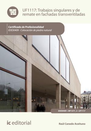 Cover of the book Trabajos singulares y de remate en fachadas transventiladas by José Francisco del Pozo Aguilar
