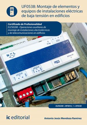 Cover of the book Montaje de elementos y equipos de instalaciones eléctricas de baja tensión en edificios by Rosa Cecilia Ojeda González