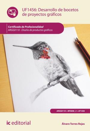 Cover of the book Desarrollo de bocetos de proyectos gráficos by Cristina Ortiz Portillo
