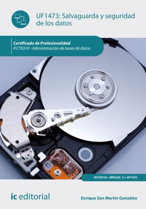 Cover of the book Salvaguarda y seguridad de los datos by Macarena Osorio Otero