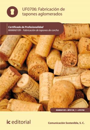 Book cover of Fabricación de tapones aglomerados