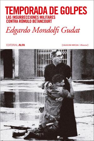 Cover of the book Temporada de golpes by Elías Pino Iturrieta