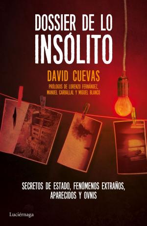 Cover of the book Dossier de lo insólito by Megan Maxwell