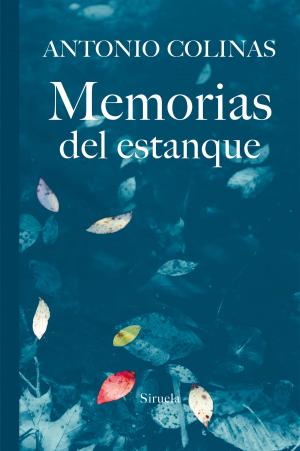 Cover of the book Memorias del estanque by David Stabler