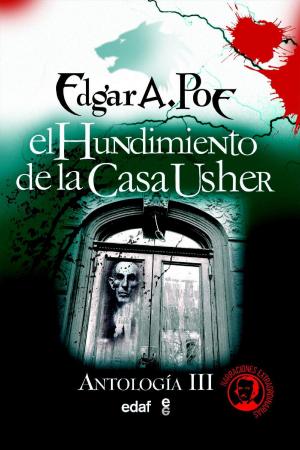 Cover of the book El hundimiento de la casa Usher by Amanda Romania