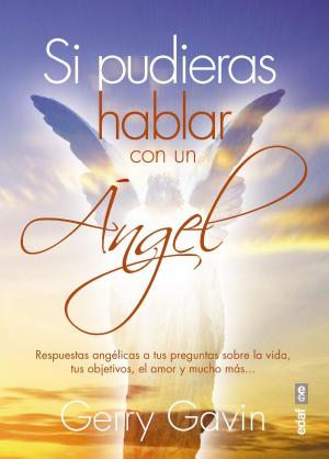 Cover of the book Si pudieras hablar con un ángel by Roberto Garcia Carbonell