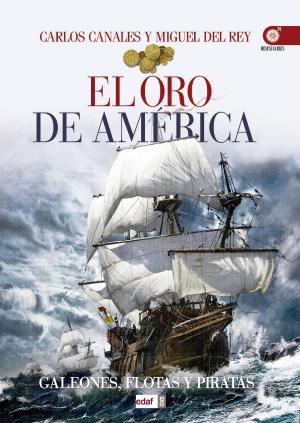 Cover of the book El oro de América by Carlos Canales, Miguel  Del Rey
