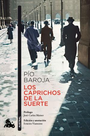 Cover of the book Los caprichos de la suerte by Cristina Prada