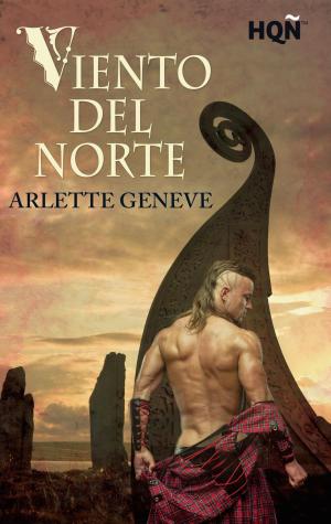 Book cover of Viento del Norte
