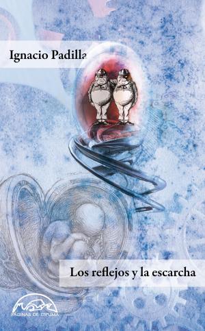 Cover of the book Los reflejos y la escarcha by Fernando Iwasaki