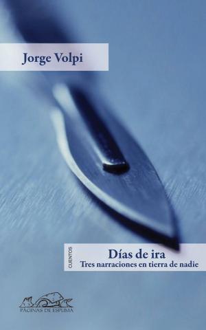 Cover of the book Días de ira by Javier Fernández Panadero