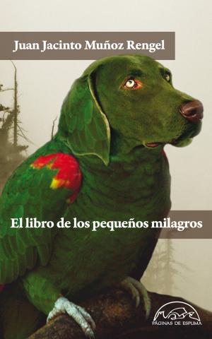 Cover of the book El libro de los pequeños milagros by Alberto Chimal