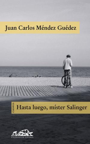 Cover of the book Hasta luego, mister Salinger by Fernando Iwasaki