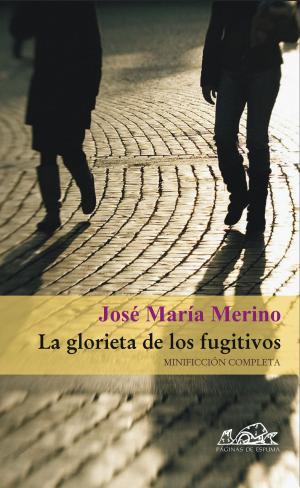 Cover of the book La glorieta de los fugitivos by Jules Verne